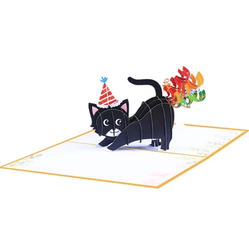 Dzimšanas dienā atmiņas Kartes Kaķis Varavīksnes Pārsteigums Noslēpumaino Karti Piederumu jaunas
