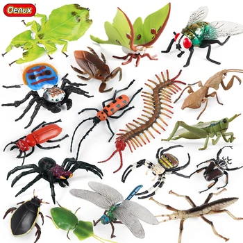 Oenux Kukaiņu Modelis Spider Vabole Prusaks Simtkājis Spāre Dzīvniekiem Darbības Figūras Miniatūras Zinātnes Izglītības Rotaļlieta, Bērns Dāvanu